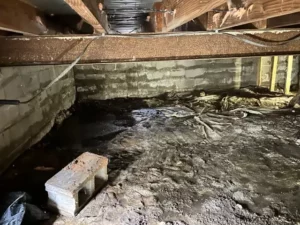 Basement Crawl Space