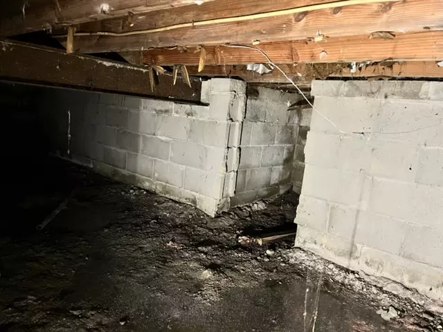 Standing Water in Crawl Space